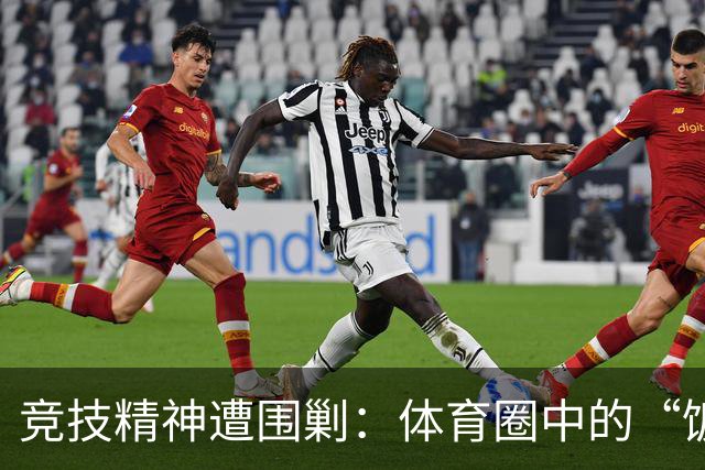 竞技精神遭围剿：体育圈中的“饭圈现象”解析